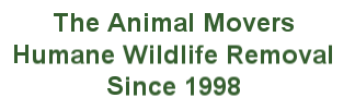 The Animal Movers Inc - Humane Wildlife Removal Since 1999 The Animal Movers Inc - Humane Wildlife Removal Since 1999