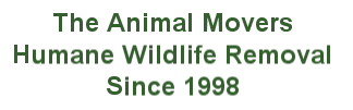 The Animal Movers Inc - Humane Wildlife Removal Since 1999